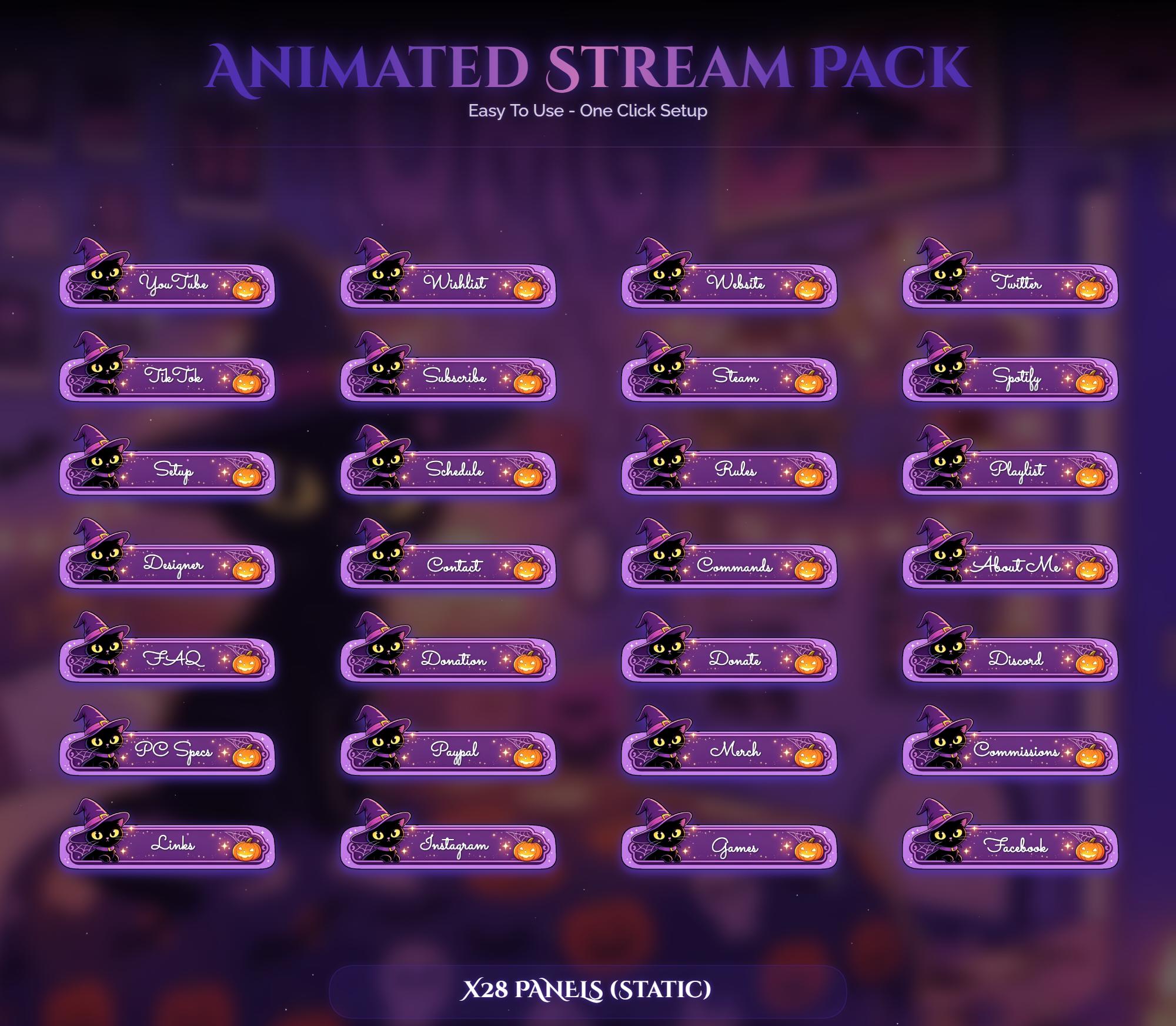 Spooky Witch Cat Animated Overlay — preview photo 4