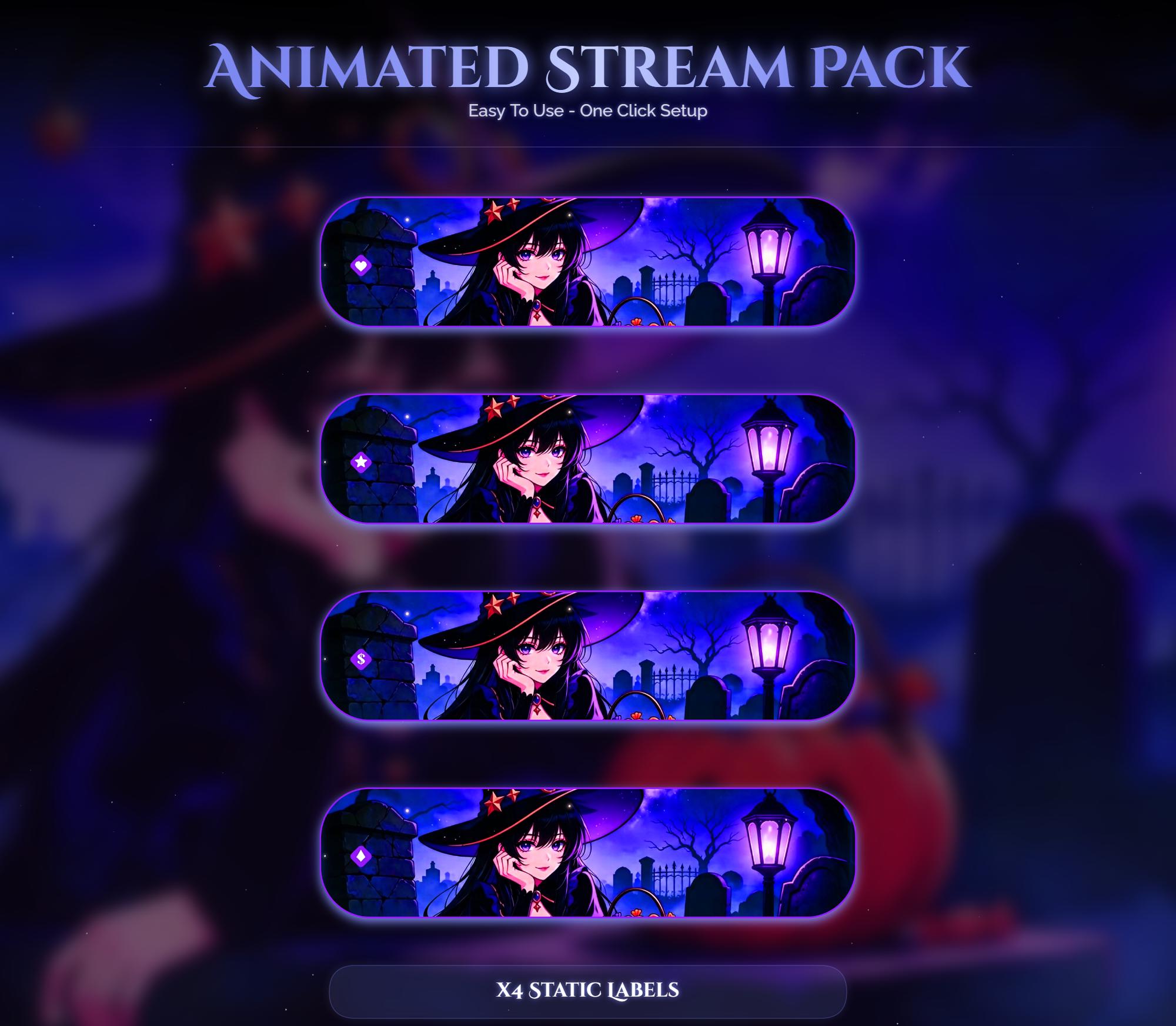 Halloween Witch Animated Overlay — preview photo 6