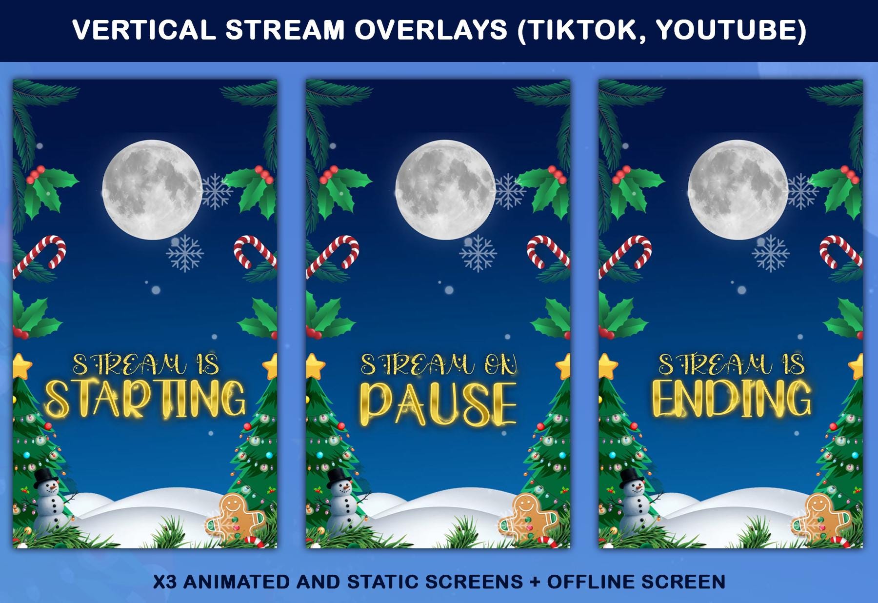 Christmas Animated TikTok Stream Overlay Package (Digital Download) — preview photo 2