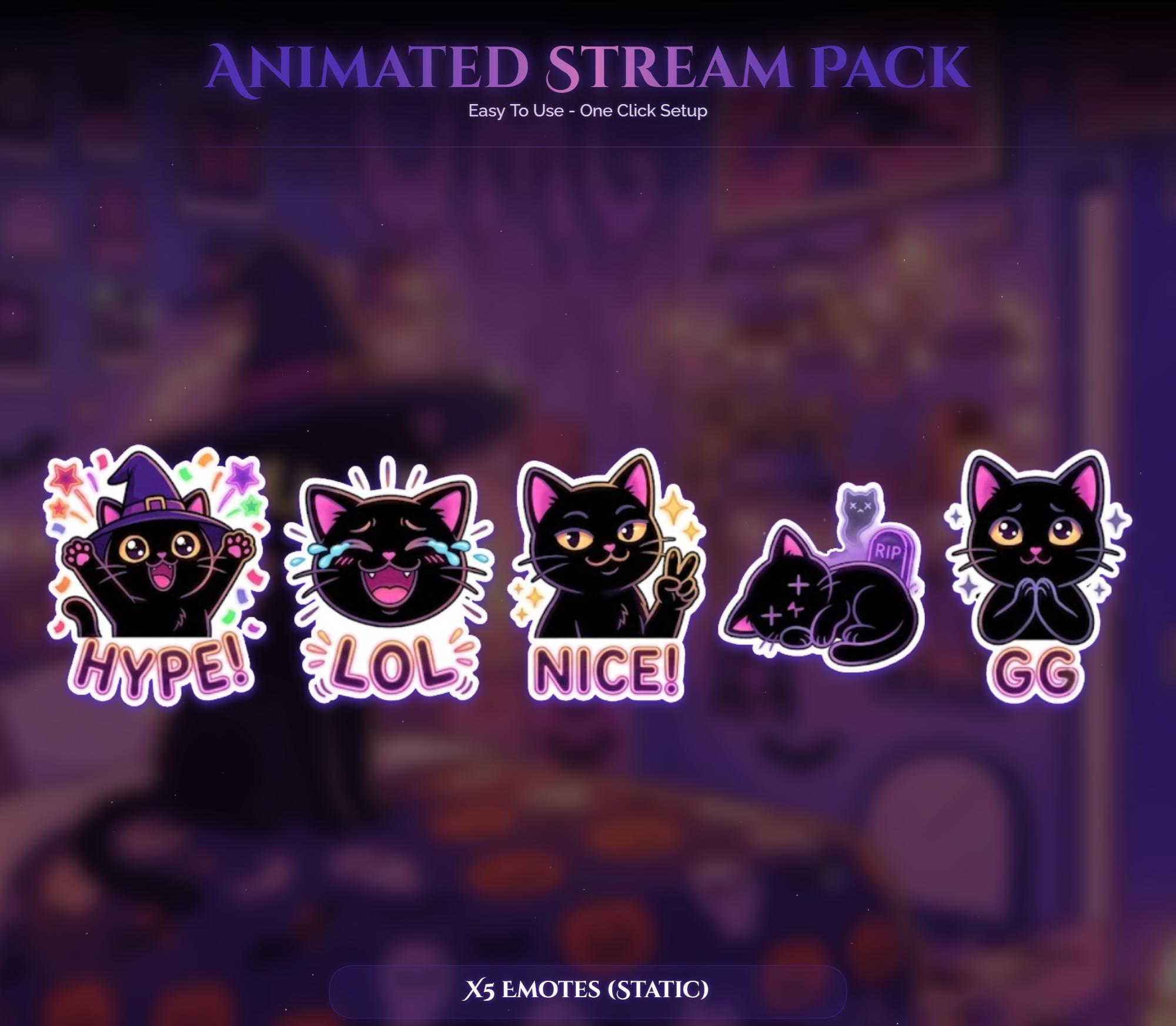 Spooky Witch Cat Animated Overlay — preview photo 8