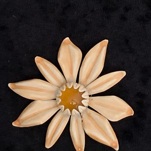 May include: A detailed, close-up view of a daisy-shaped brooch. The brooch features a central, round, yellow center surrounded by multiple petals in shades of cream and light brown. The brooch is set against a black background.