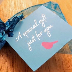Pu&ograve; includere: Un'etichetta regalo blu con un nastro bianco legato intorno. L'etichetta ha il testo "Un regalo speciale solo per te" scritto in bianco in corsivo. Una silhouette di uccello rosa si trova nell'angolo in basso a destra.