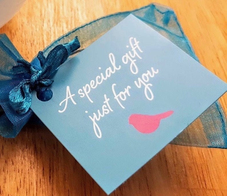 Pu&ograve; includere: Un'etichetta regalo blu con un nastro bianco legato intorno. L'etichetta ha il testo "Un regalo speciale solo per te" scritto in bianco in corsivo. Una silhouette di uccello rosa si trova nell'angolo in basso a destra.