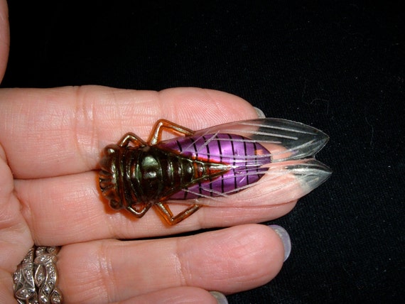 vintage celluloid french good luck cicada pin neo… - image 1
