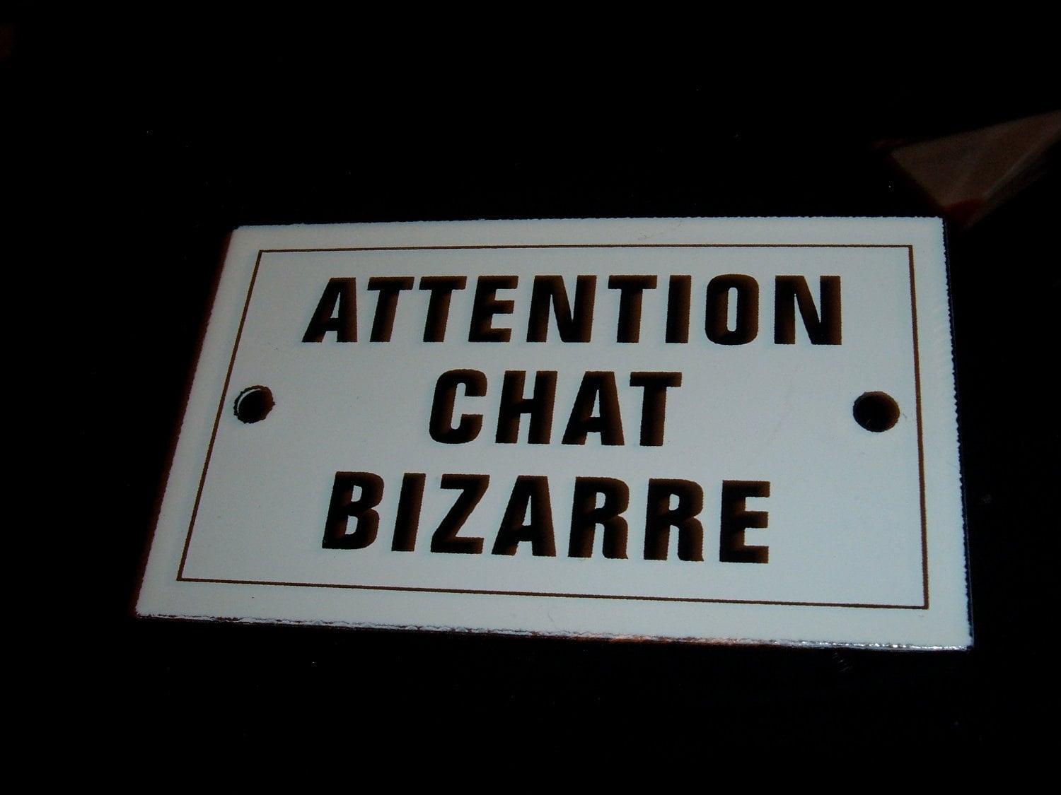 Vintage French Strange Cat Attention Chat Bizarre Enamel Metal Etsy