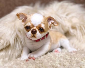May include: A small, tan and white Chihuahua puppy with a red collar lies on a fluffy, white surface. The puppy has large, dark eyes and floppy ears. Its fur is a mix of tan and white, with a white patch on its head. The puppy is looking directly at the viewer.