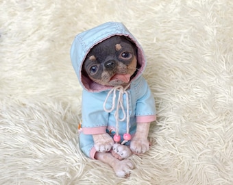 May include: A small, plush Chihuahua puppy wearing a light blue hooded jacket with pink trim and drawstrings. The puppy has a black and tan face and is sitting on a fluffy white surface.