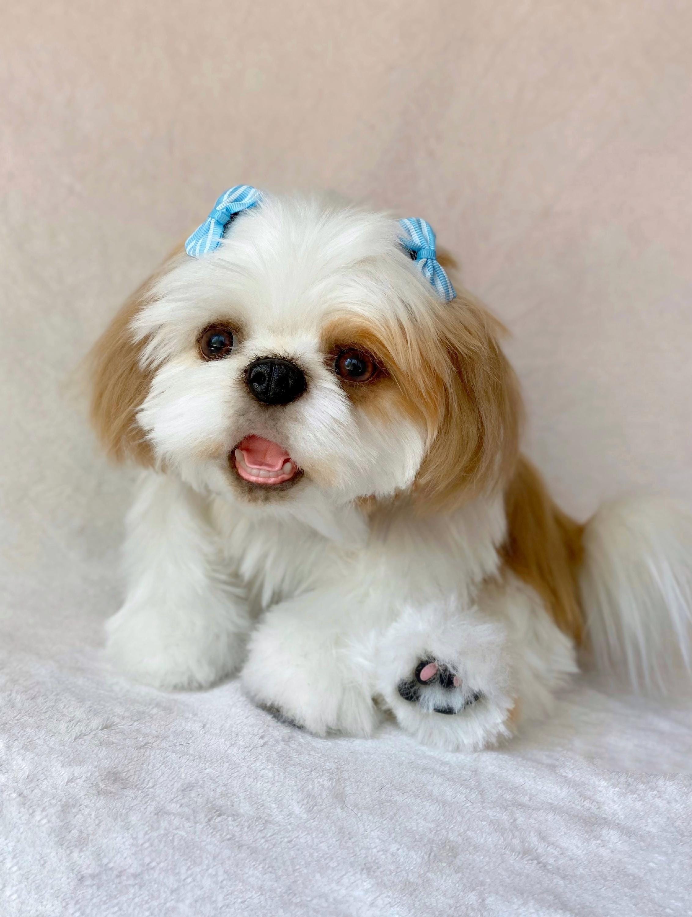 Shih Tzu Stuffed Toy