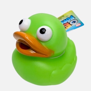 May include: A green rubber duck with large, googly eyes and an orange beak. The duck has a tag attached to its back. The duck is a toy.