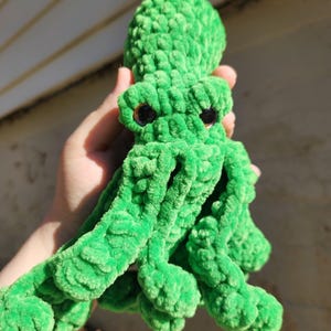 Olivia the octopus tester