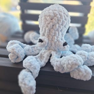 Olivia octopus finished