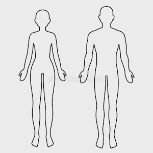 May include: Line drawing of a female and male human body outline, side by side. The figures are in a standing position, facing forward, with arms at their sides. The outlines are black on a light grey background.