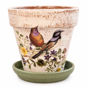 May include: A tapered terracotta plant pot with a distressed cream finish, featuring a colorful illustration of two birds perched among yellow and purple wildflowers. The pot sits on a solid, smooth, sage green circular saucer base.