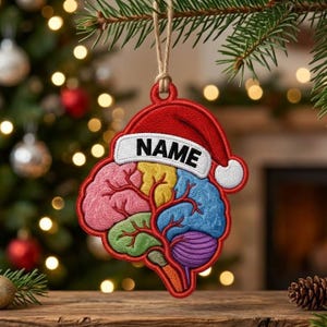 Puede incluir: Un adorno colgante con forma de cerebro humano con secciones multicolores en rosa, amarillo, verde, azul y morado, rematado con un gorro de Papá Noel rojo y blanco con el texto NAME en letras negras, suspendido por un cordel marrón.