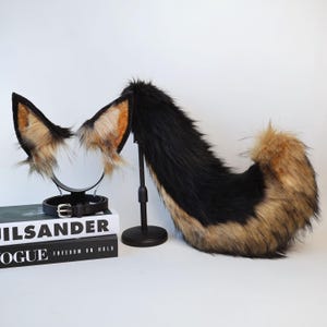 May include: A set of faux fur animal ears on a black headband and a matching long faux fur tail. The ears feature black edges with tan and brown inner fur. The tail is primarily black with tan and brown fur at the base and tip. A black belt is included.