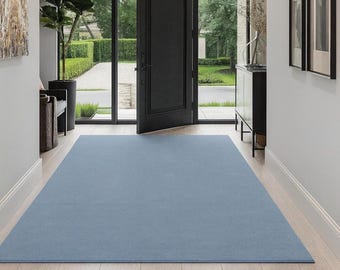 Puede incluir: Una alfombra rectangular azul claro está centrada en un suelo de madera clara en una entrada bien iluminada. Una puerta negra está entreabierta, revelando una vista de un césped verde y árboles. Una planta alta en maceta está a la izquierda.