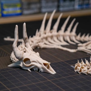 May include: A detailed, off-white 3D-printed model of a skull with curved horns and a spine. The skull has large eye sockets and visible teeth. The spine is long and segmented. The objects are on a dark surface.