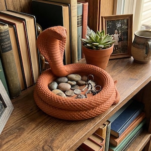 Puede incluir: Un plato en forma de cobra de color terracota que contiene piedras, monedas y llaves. La cabeza de la serpiente está levantada y su cuerpo forma una bandeja circular. El plato está sobre una estantería de madera con libros y una pequeña planta en maceta.
