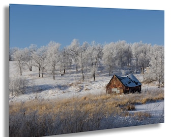 Puede incluir: Un paisaje invernal con una pequeña cabaña con techo oxidado en un campo nevado. Los árboles cubiertos de escarcha se alinean en el fondo bajo un cielo azul claro. El primer plano muestra hierbas secas y doradas.
