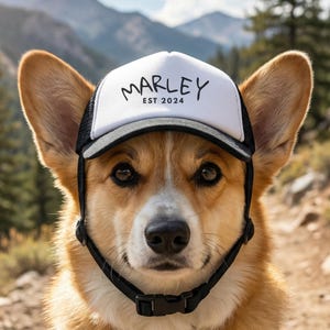 May include: A white and black trucker cap featuring the text MARLEY EST 2024 printed in black on the front panel. The cap includes a black peak and a black adjustable chin strap with a plastic buckle, designed to fit securely on a dog's head.
