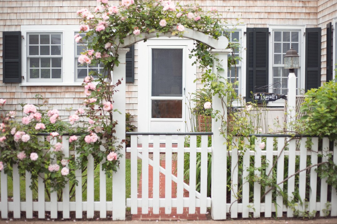 Beach House With Pink Roses - Etsy