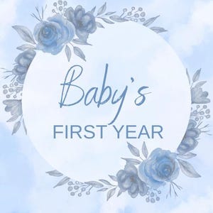 Baby’s First Year Journal PDF