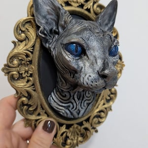 Può includere: Una placca da parete tridimensionale raffigurante una testa di gatto Sphynx scolpita in grigio con occhi blu vivaci. Il gatto è montato su uno sfondo ovale nero, racchiuso in un'ornata cornice dorata in stile antico con volute floreali.