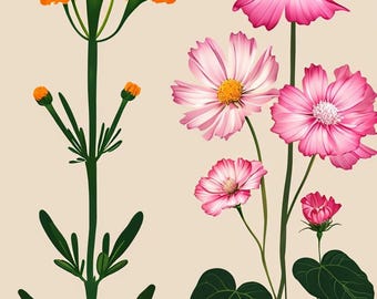 October Birth Flowers PNG | Cosmos & Marigold Art (Digital Download)