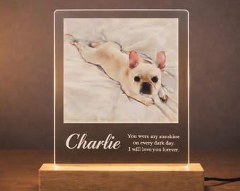 Personalized Pet Memorial Plaque with LED, Photo Keepsake