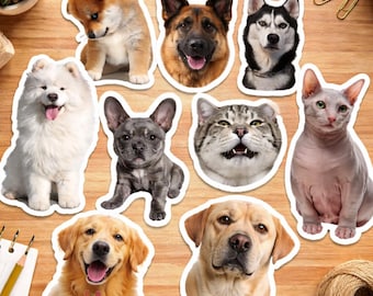 Custom Pet Photo Sticker, Personalized Dog & Cat Decal, Water Resistant