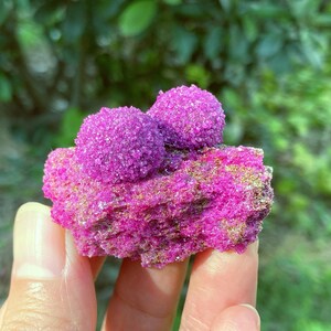 May include: A vibrant magenta mineral specimen featuring two prominent, rounded, crystalline clusters resting atop a jagged, textured base. The surface of the stone is covered in tiny, sparkling crystals that reflect light, creating a deep, saturated pink colour throughout the entire formation.