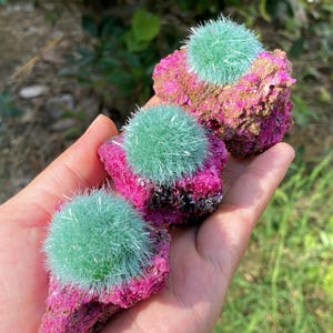 May include: Three mineral specimens featuring vibrant magenta-colored rock bases topped with spherical clusters of needle-like, light green crystals. Each piece displays a distinct contrast between the rough, dark pink matrix and the bright, spiky green formations that resemble small, textured pom-poms.