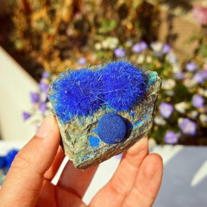 Puede incluir: Una mano sostiene un trozo de mineral de azurita. La piedra tiene una superficie rugosa y texturizada con parches azules vibrantes, incluyendo un grupo de cristales en forma de aguja y una formaci&oacute;n esf&eacute;rica. El fondo est&aacute; borroso con vegetaci&oacute;n y flores moradas.