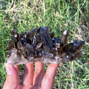 May include: A cluster of smoky quartz crystals, featuring a range of brown and clear tones. The crystals are tightly packed together, with sharp, pointed terminations. The quartz sits on a clear base, with a hand holding the crystal cluster in front of a grassy background.