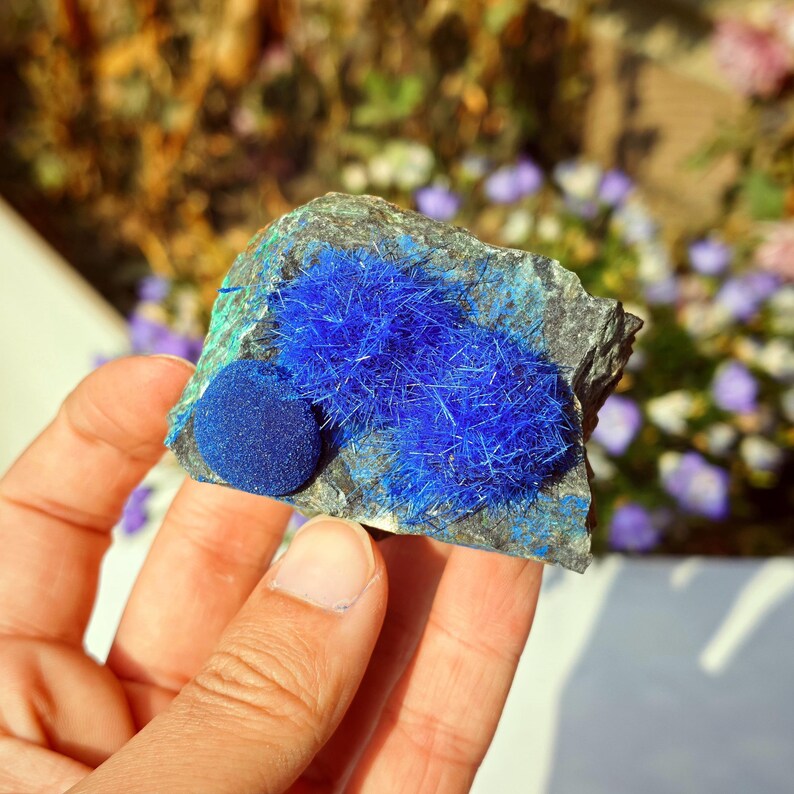 Puede incluir: Una mano sostiene un trozo de mineral de azurita en bruto. La piedra es de color gris oscuro con parches azules y verdes. La azurita presenta un grupo de cristales azul oscuro en forma de aguja y una peque&ntilde;a formaci&oacute;n redonda azul oscuro.