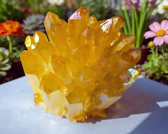 Golden Citrine Cluster 250g+ Abundance Prosperity Crystal Decor
