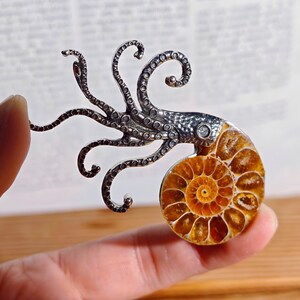 Könnte beinhalten: Ein silberfarbener Anhänger in Form eines Oktopus mit detaillierten Tentakeln ist an einem polierten, spiralförmigen, bernsteinfarbenen Fossil befestigt. Das Fossil hat ein detailliertes Muster. Der Anhänger wird von einem Finger gehalten.