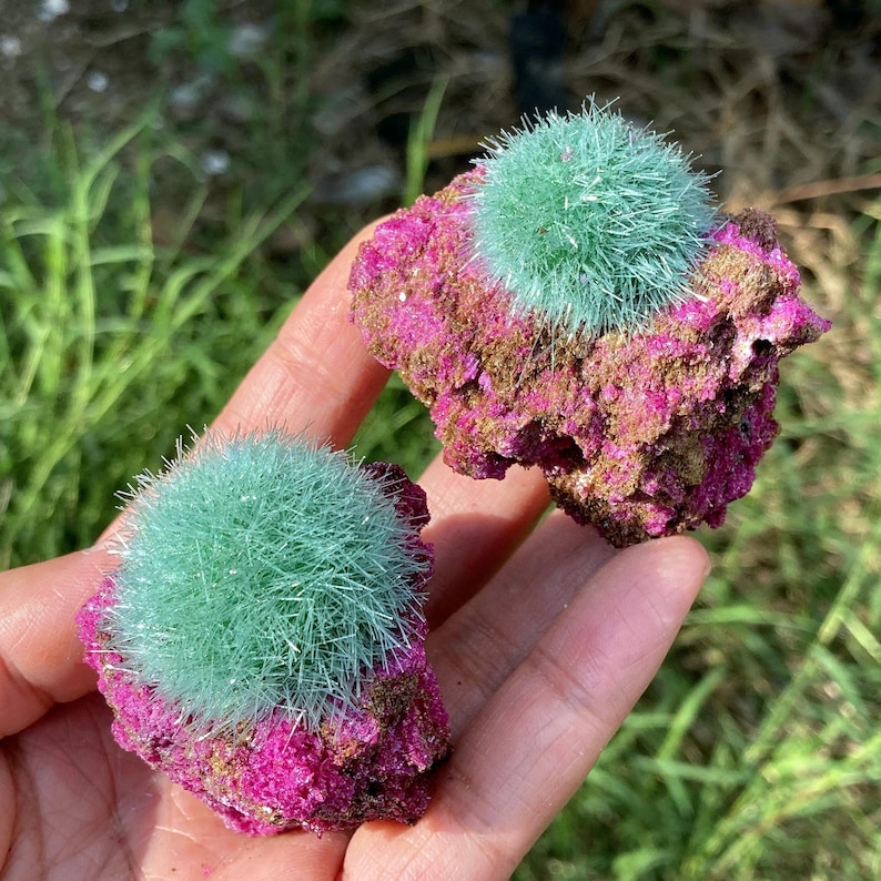 May include: Two mineral specimens featuring vibrant, spherical clusters of needle-like mint green crystals attached to a rough, textured magenta and brown rock matrix. The specimens display a sharp contrast between the soft, fibrous green formations and the jagged, crystalline base.