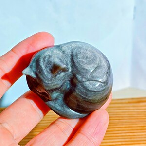 May include: A polished, gray-toned stone carving of a curled-up cat. The sculpture has a smooth, reflective surface with swirling patterns. The cat's features, including its ears and nose, are clearly defined. The sculpture is held in a hand.
