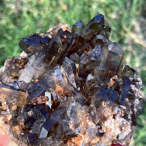 May include: A cluster of dark brown smoky quartz crystals. The crystals are sharply pointed and clustered together, with a mix of light and dark brown hues. The background is blurred, with green grass visible.