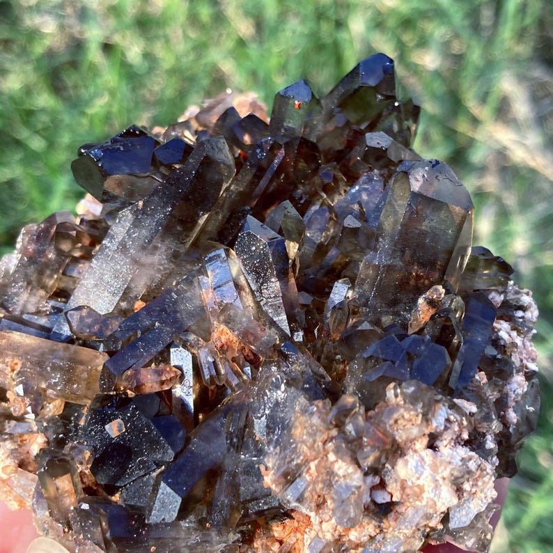 May include: A cluster of dark brown smoky quartz crystals. The crystals are sharply pointed and clustered together, with a mix of light and dark brown hues. The background is blurred, with green grass visible.