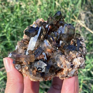 May include: A cluster of dark brown smoky quartz crystals. The crystals are sharply pointed and arranged in a dense formation, with some areas reflecting light. The base of the cluster has a rough, earthy texture, with hints of orange and brown.