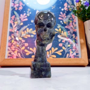 Puede incluir: Una escultura de calavera tallada en piedra oscura y moteada. La calavera es gris y verde con rasgos faciales detallados. La escultura est&aacute; montada sobre una base rectangular, un art&iacute;culo decorativo &uacute;nico.