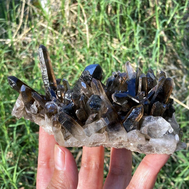 May include: A cluster of smoky quartz crystals, featuring a range of brown and clear hues. The crystals are clustered together, with sharp, pointed tips. The base of the cluster is a lighter, opaque color. The crystals are held in a hand.