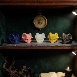 Può includere: Cinque sculture di teschi di ariete colorati in blu, rosa, trasparente, giallo e grigio sono esposte su una mensola scura. Una bussola è appesa sopra, e una candela accesa e un libro aperto sono in primo piano. I teschi hanno corna e lineamenti dettagliati.