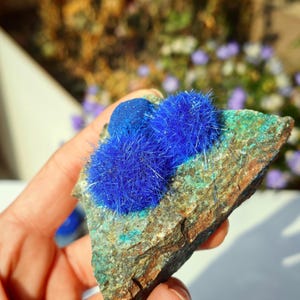 Puede incluir: Primer plano de un esp&eacute;cimen mineral con formaciones de cristales azul brillante sobre una roca multicolor. La roca muestra tonos verdes, marrones y azules, creando un contraste con los cristales azules brillantes. El esp&eacute;cimen se sostiene en una mano.