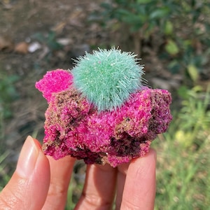 May include: A mineral specimen featuring a vibrant magenta, crystalline base with a textured, rocky surface. Attached to the top is a spherical, light green cluster of needle-like crystals radiating outward from a central point.