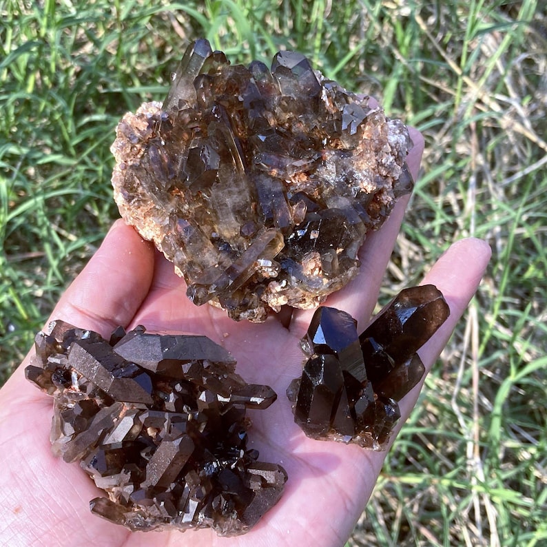 May include: Three clusters of smoky quartz crystals. The crystals vary in size and shape, with a dark brown color and a natural, rough texture. The crystals are displayed against a background of green grass.