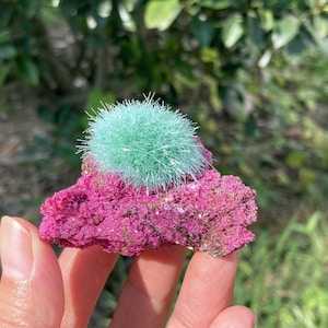 May include: A mineral specimen featuring a vibrant, spherical cluster of light mint-green, needle-like crystals resting atop a jagged, deep magenta-colored rock base with a crystalline, textured surface and small sparkling mineral deposits.