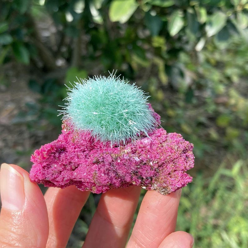 May include: A mineral specimen featuring a vibrant, spherical cluster of light mint-green, needle-like crystals resting atop a jagged, deep magenta-colored rock base with a crystalline, textured surface and small sparkling mineral deposits.